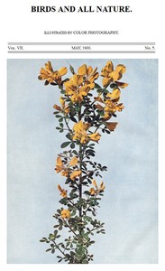 Birds and All Nature, Vol. 7, No. 5, May 1900
Illustrated by Color Photography by Various