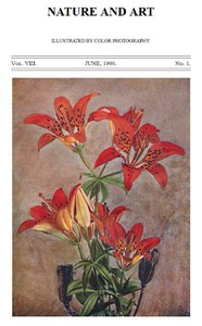 Birds and Nature, Vol. 08, No. 1, June 1900
In Natural Colors by Various