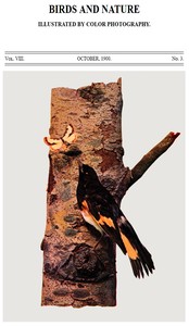 Birds and Nature Vol. 08, No. 3, October 1900
Illustrated by Color Photography by Various