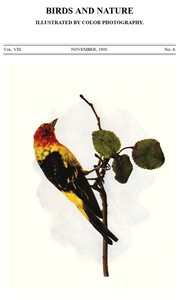 Birds and Nature, Vol. 08, No. 4, November 1900
Illustrated by Color Photography by Various