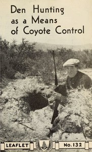 Den Hunting as a Means of Coyote Control by Stanley Paul Young