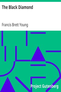 The Black Diamond by Francis Brett Young