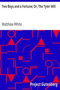 Two Boys and a Fortune; Or, The Tyler Will by Matthew White