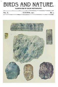 Birds and Nature, Vol. 10 No. 3 [October 1901] by Various