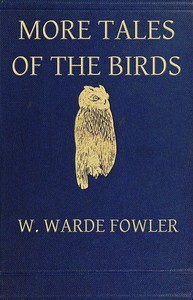 More Tales of the Birds by W. Warde (William Warde) Fowler