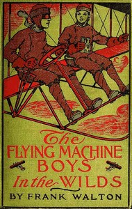 The Flying Machine Boys in the Wilds; Or, The Mystery of the Andes by Frank Walton