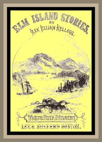 The Young Ship-Builders of Elm Island by Elijah Kellogg