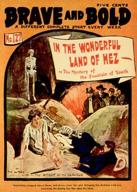 In the Wonderful Land of Hez; or, The Mystery of the Fountain of Youth by Cornelius Shea