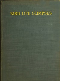 Bird Life Glimpses by Edmund Selous