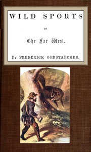 Wild Sports in the Far West by Friedrich Gerstäcker