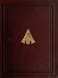 The Ancient Stone Implements, Weapons and Ornaments, of Great Britain
Second Edition, Revised by John Evans