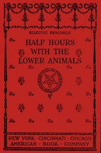 Half Hours with the Lower Animals
Protozoans, Sponges, Corals, Shells, Insects, and Crustaceans by Charles Frederick Holder