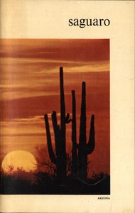 Saguaro National Monument, Arizona by Napier Shelton