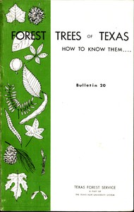Forest Trees of Texas: How to Know Them by Wilbur R. (Wilbur Reed) Mattoon