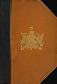 Cricket by A. G. (Allan Gibson) Steel