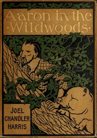Aaron in the Wildwoods by Joel Chandler Harris