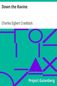 Down the Ravine by Charles Egbert Craddock
