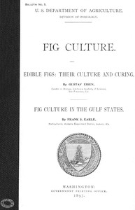 Fig Culture
Edible Figs: Their Culture and Curing. Fig Culture in the Gulf States. by Gustavus A. Eisen