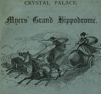 Myers' Grand Hippodrome by Anonymous