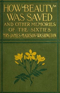 How Beauty Was Saved, and Other Memories of the Sixties by Amanda Alcenia Strickland Washington