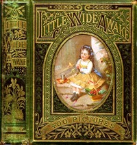 Little Wideawake: A story book for little children by Sale Barker