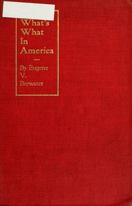 What's What in America by Eugene V. (Eugene Valentine) Brewster