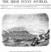 The Irish Penny Journal, Vol. 1 No. 21, November 21, 1840 by Various