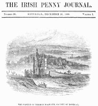 The Irish Penny Journal, Vol. 1 No. 26, December 26, 1840 by Various