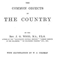 The Common Objects of the Country by J. G. (John George) Wood