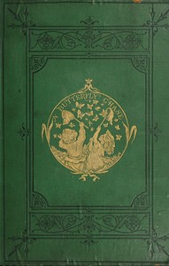 A Butterfly Chase by P.-J. Stahl