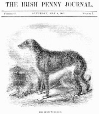 The Irish Penny Journal, Vol. 1 No. 45, May 8, 1841 by Various