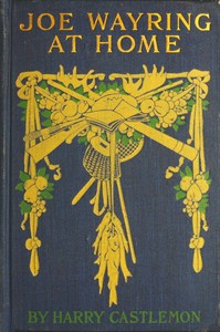 Joe Wayring at Home; or, The Adventures of a Fly-Rod by Harry Castlemon