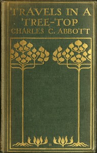 Travels in a Tree-top by Charles C. (Charles Conrad) Abbott