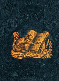 The Travels and Extraordinary Adventures of Bob the Squirrel by Anonymous