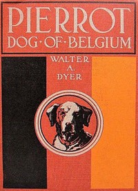 Pierrot, Dog of Belgium by Walter A. (Walter Alden) Dyer