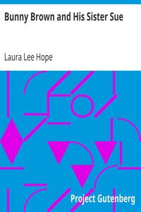Bunny Brown and His Sister Sue by Laura Lee Hope