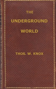The Underground World: A mirror of life below the surface by Thomas Wallace Knox