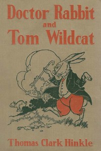 Doctor Rabbit and Tom Wildcat by Thomas C. (Thomas Clark) Hinkle