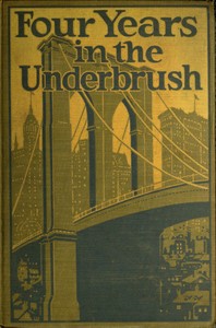 Four Years in the Underbrush: Adventures as a Working Woman in New York by Anonymous