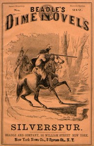 Silverspur; or, The Mountain Heroine: A Tale of the Arapaho Country by Edward Willett
