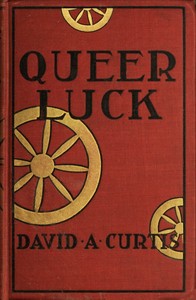 Queer Luck: Poker Stories from the New York Sun by David A. Curtis