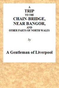 A Trip to the Chain-Bridge, Near Bangor, and Other Parts of North Wales by Anonymous