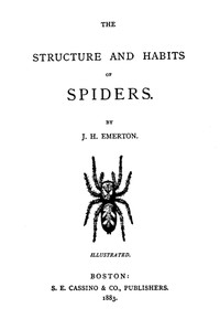 The Structure and Habits of Spiders by J. H. (James Henry) Emerton