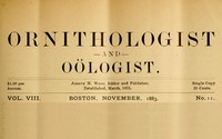 The Ornithologist and Oölogist. Vol. VIII, No. 11, November, 1883
Birds: Their Nests and Eggs by Various