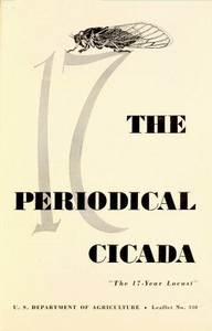 The Periodical Cicada, "the 17-year Locust" by United States. Department of Agriculture