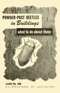 Powder-Post Beetles in Buildings: What to Do About Them by R. A. (Raymond Alexander) St. George