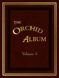 The Orchid Album, Volume 3
Comprising Coloured Figures and Descriptions of New, Rare, and Beautiful Orchidaceous Plants by Thomas Moore