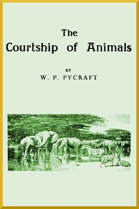 The Courtship of Animals by W. P. (William Plane) Pycraft