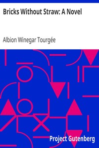 Bricks Without Straw: A Novel by Albion Winegar Tourgée