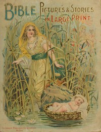 Bible pictures and stories in large print by Anonymous